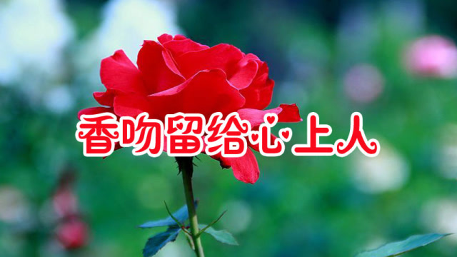马健涛一首香吻留给心上人情意绵绵深情感人令人陶醉