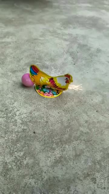 烟花创意,母鸡下蛋.