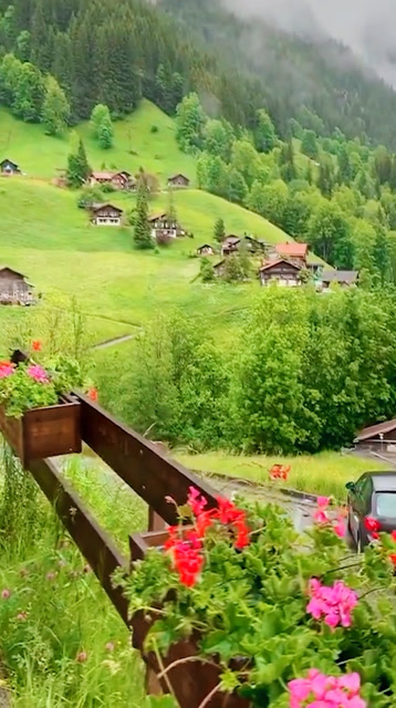 惬意的乡村生活!