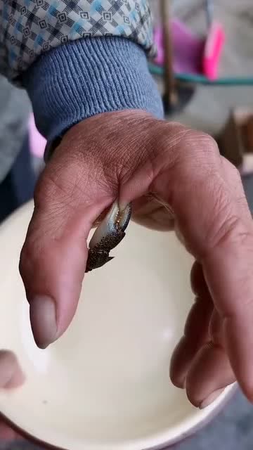 贪玩老头被蟹钳夹住网友螃蟹怎么都想不到,夹个手断个钳子