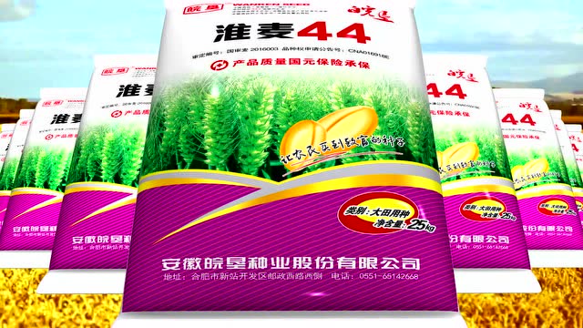 淮麦44--抗倒,高产