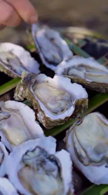 生蚝加公鸡蛋,快活是神仙