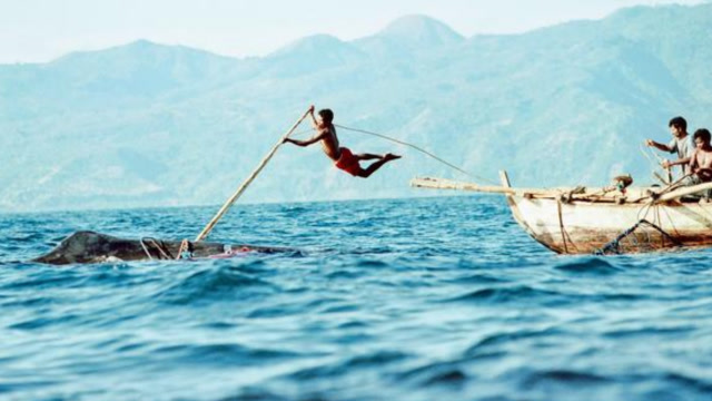 男子手持长矛直插入海中,最原始的捕鲸方式,场面让人大开眼界