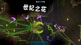 天铭 泰拉瑞亚 1.3手机版 37 带着世纪之花去遛弯 叶绿矿 玄武套