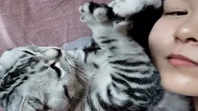 混得最惨的猫咪,为了小鱼干不惜给主人按摩,真是太逗了!