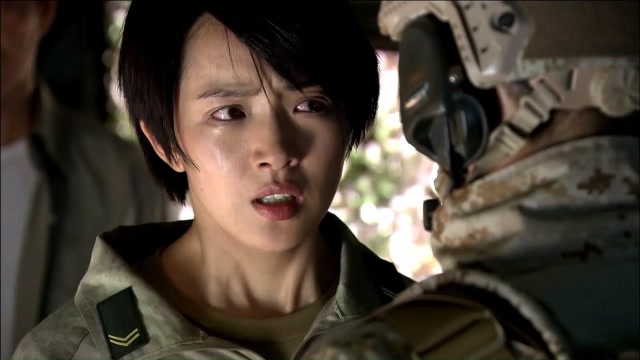 特种兵之火凤凰看着危险中的母亲却无能为力叶寸心悲痛欲绝