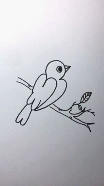 用4个3画小鸟,画完之后非常真实