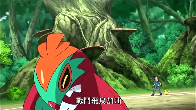 《精灵宝可梦》火箭雀被口呆花击中,睡眠花粉无法躲避小智要输