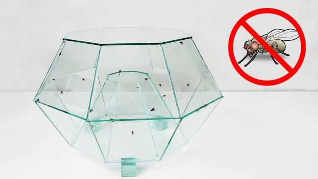 夏天苍蝇太烦人,老外教你自制捕蝇器,好看又实用!