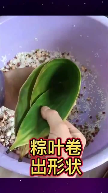 只需一个矿泉水瓶,十秒教你学会包粽子,这个方法简单实用