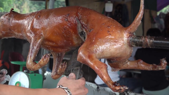 大叔街边现场烤狗,烤好尾巴翘上天,拿刀一切,肉汁满满流口水