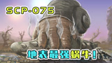 scp-075：地表最强蜗牛，只有一个足球这么大，体重却有1720斤