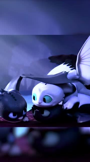 驯龙高手小白龙敲凶的睡觉都在打架