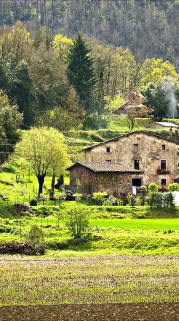 心目中向往的生活场景