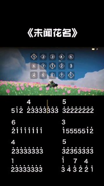 光遇琴谱,未闻花名