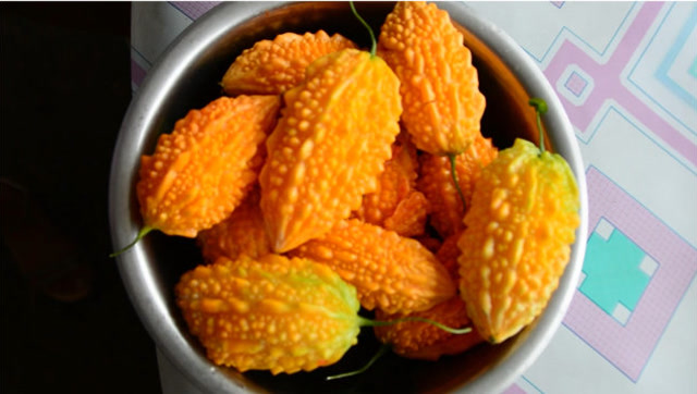 农村姑娘摘来黄色苦瓜.82岁奶奶吃后腹痛难忍.这东西到底能吃吗