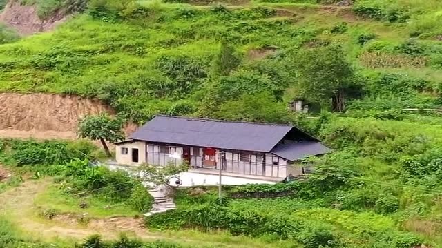 隐居深山的一户人家,房屋后面就是祖坟,现代人根本接受不了!