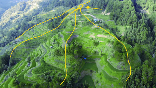 一条主脉分为了四条山脉,形如"开枝散叶",少见的风水宝地!