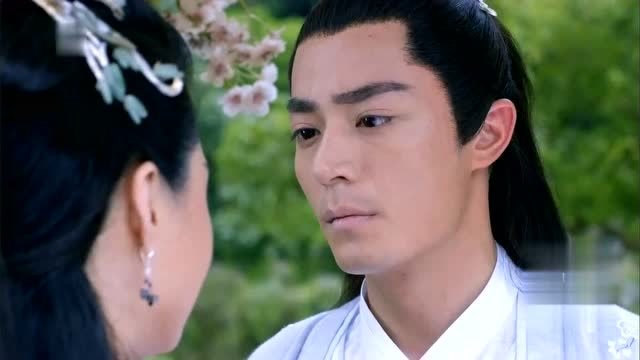 夏紫熏对白子画用情太深,一心情愿注定被伤,挺可怜她的!