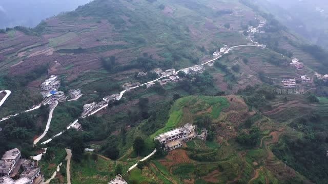 镇雄县罗坎镇茶蔚村