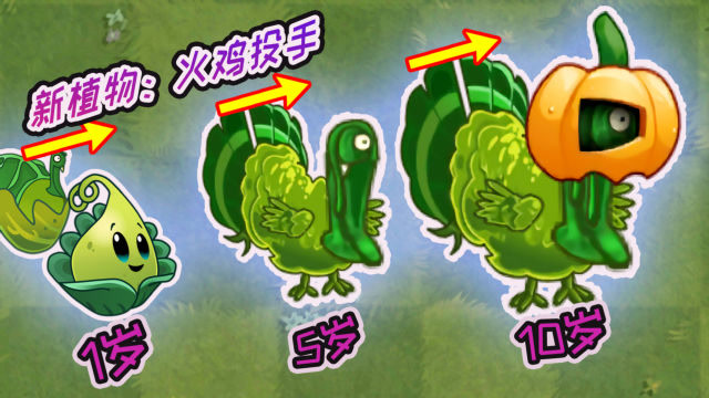 pvz2植物大战僵尸火鸡阵:据说1岁的火鸡投手可秒巨人