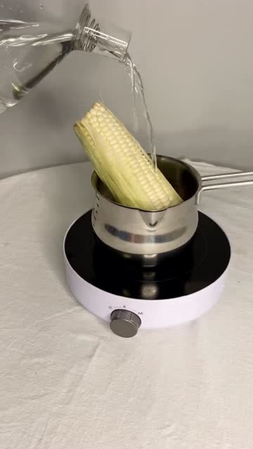 万物皆可艺术,这是戴珍珠耳环的玉米