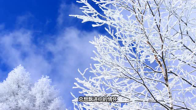 2020陝西k歌大賽晉級賽286號李宏《我像雪花天上來》