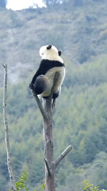 蚩尤,你听我解释