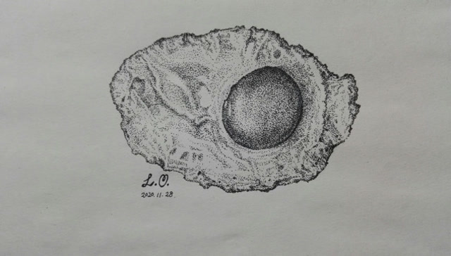 水性笔素描点画《不像荷包蛋的荷包蛋》