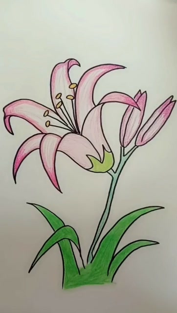 幼儿园简笔画~花朵