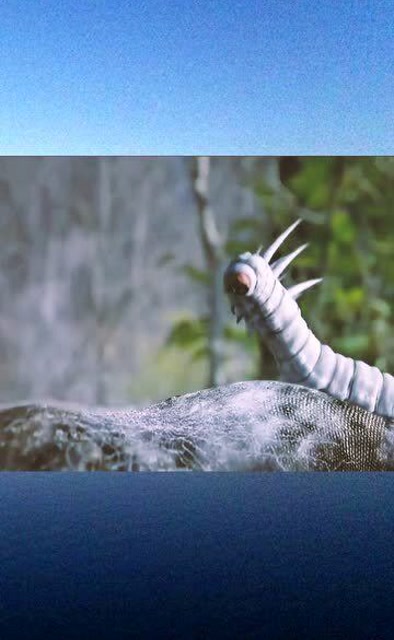 千年冰蚕大战毒蛇,这小身手还挺灵活,可惜最后还是被拿来练功!