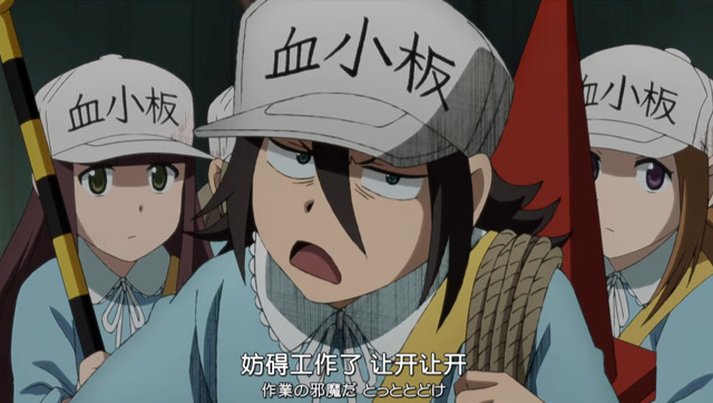 工作细胞black血小板小姐姐霸气出场你们在耽误我的身体止血