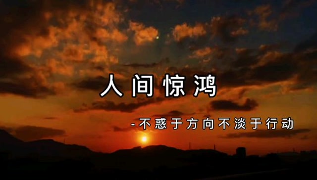 远赴人间惊鸿宴 谈笑风生不动情