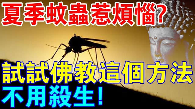 印光大师夏季用此法，驱蚊不杀生