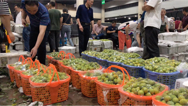 重庆水果大丰收 批发市场里果彩缤纷 半夜前往抢购的人络绎不绝