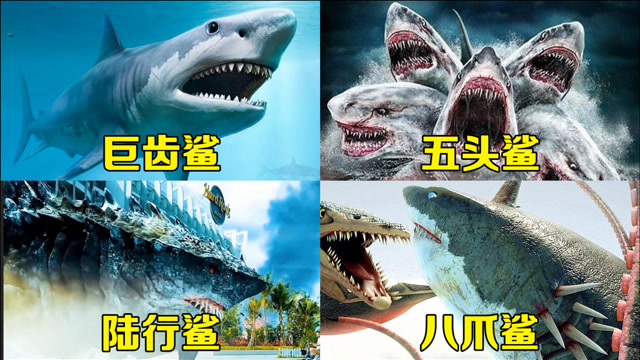 里这四个变异鲨鱼,你觉得哪个更厉害,会遁地的陆行鲨pk会走路的八爪鲨