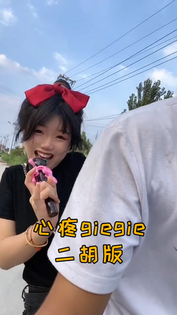 《心疼giegie》二胡版
