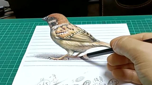 一只彩铅得小麻雀,是一副完美的立体画,看着像真的一样!