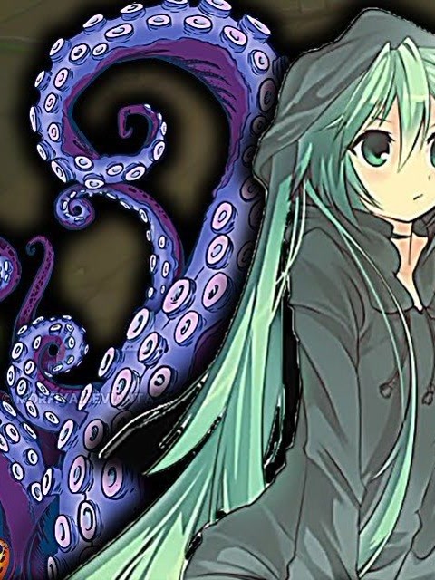 触手娘这伤害就看不懂