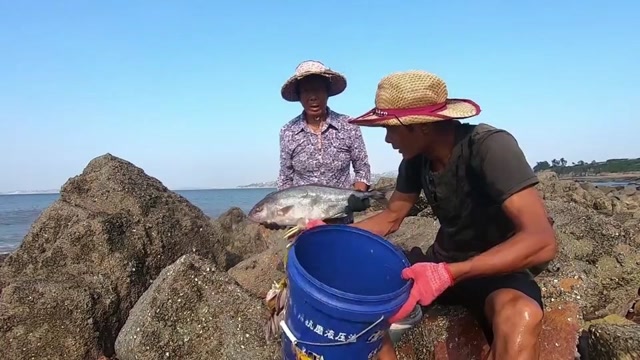 岸边赶海竟遇到如此好事!迎着巨浪捡起一条大好货,小囿高兴坏了