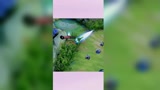 王者荣耀：这波操作，你打几分