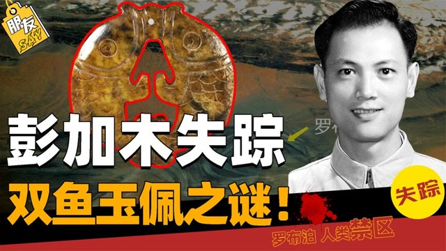 3,揭秘双鱼玉佩之谜!彭加木重现美国