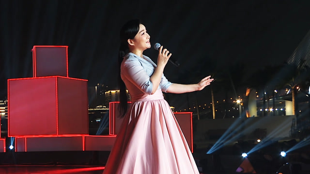 王莉演唱《灯火里的中国》优美大气