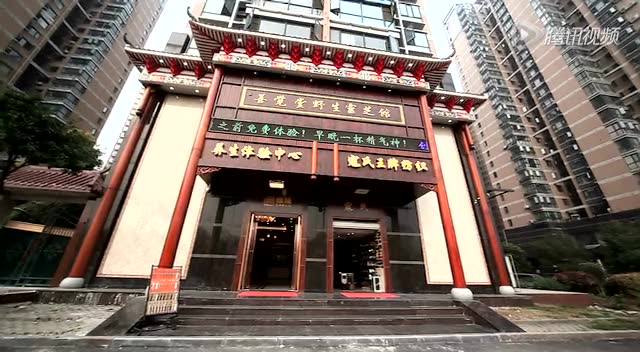 善觉堂——野生灵芝破壁精粉