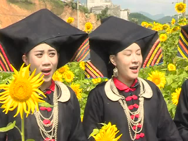 那坡经典山歌 四季花满坡