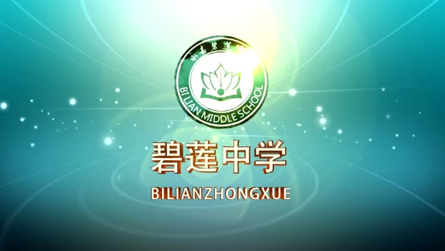 碧莲中学86届同学会