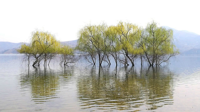 白草坪水库 春波荡漾