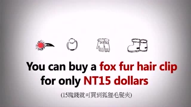 皮草背后的丑陋（公益卡通片）