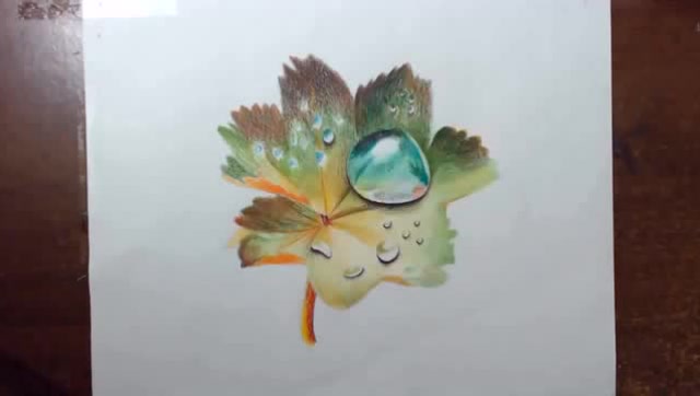 树叶雨滴彩铅画