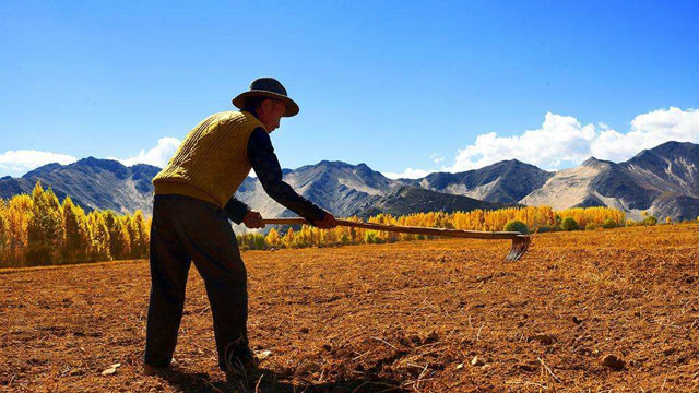 农民锄地时发现千年珍贵文物,上交文物部门之后奖励他百元大钞!